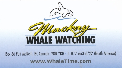 Mackay Whale Watching Port McNeill...