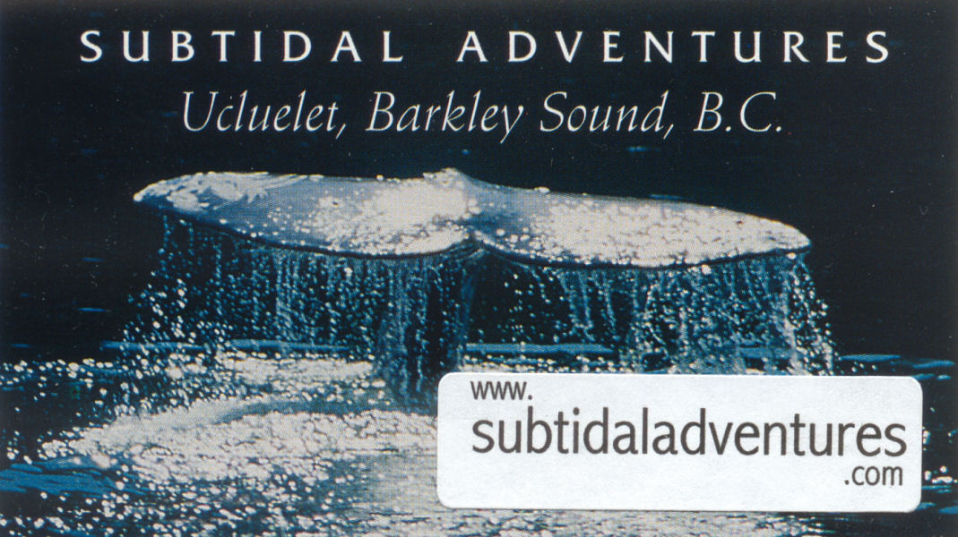  Subtidal Adventures, Ucluelet, British Columbia, Vancouver Island, Canada... 