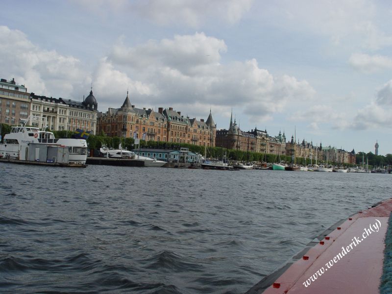 DSC00989_w_800.jpg
