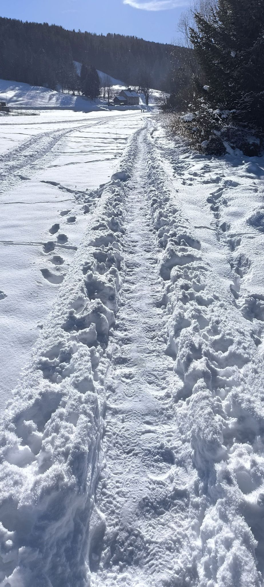 valle de Joux 1er Janvier 2025...