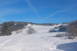 Valle de Joux - 30 dcembre
2013...