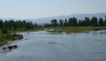 DSC03221_w_h7681.jpg