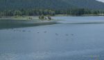DSC03261_w_h7681.jpg