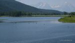 DSC03263_w_h7681.jpg