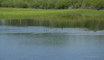 DSC03270_w_h7681.jpg