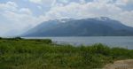 DSC03311_w_h7681.jpg
