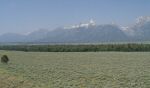 DSC07334_w_h7681.jpg