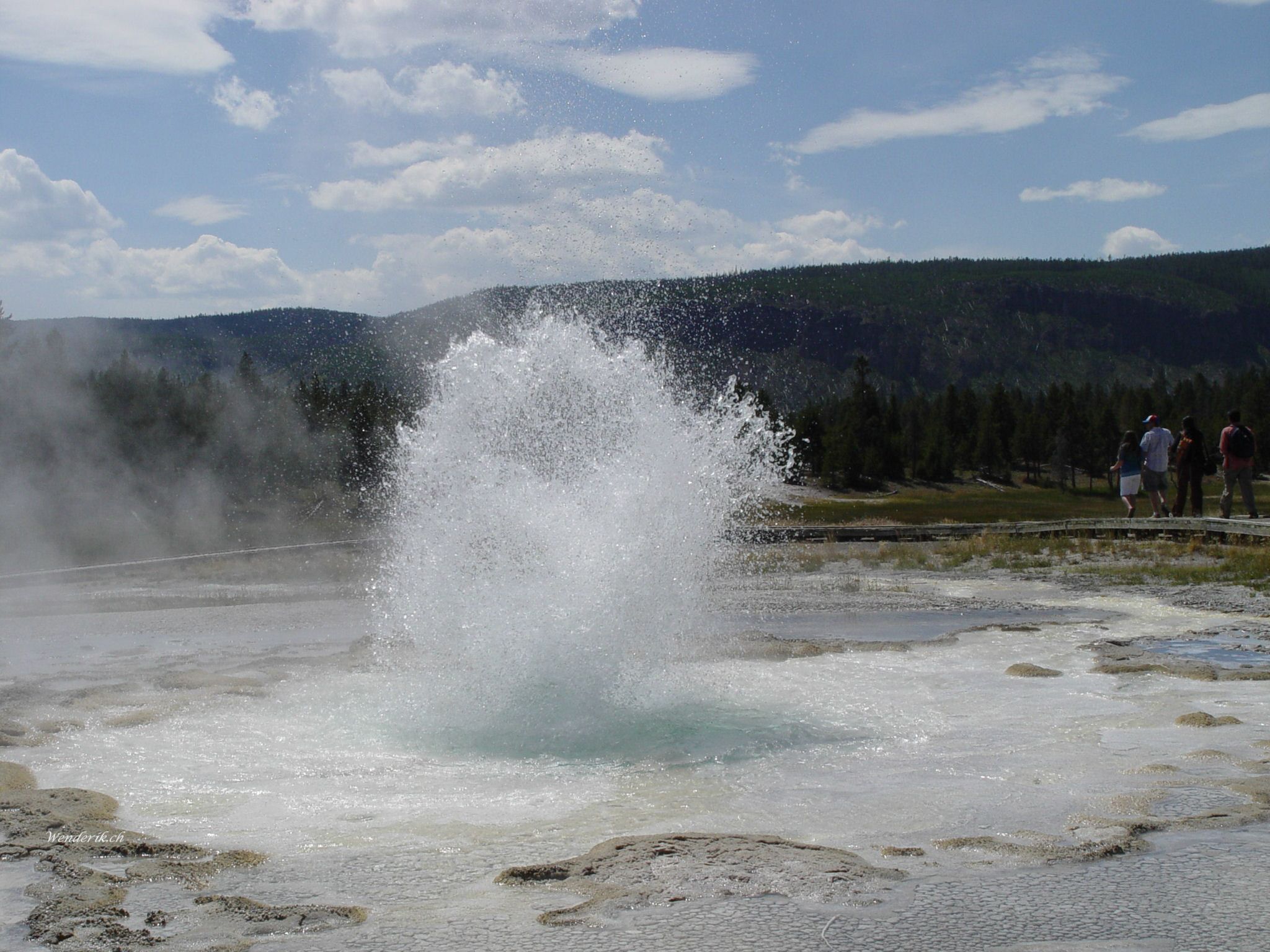 DSC00312w1.jpg