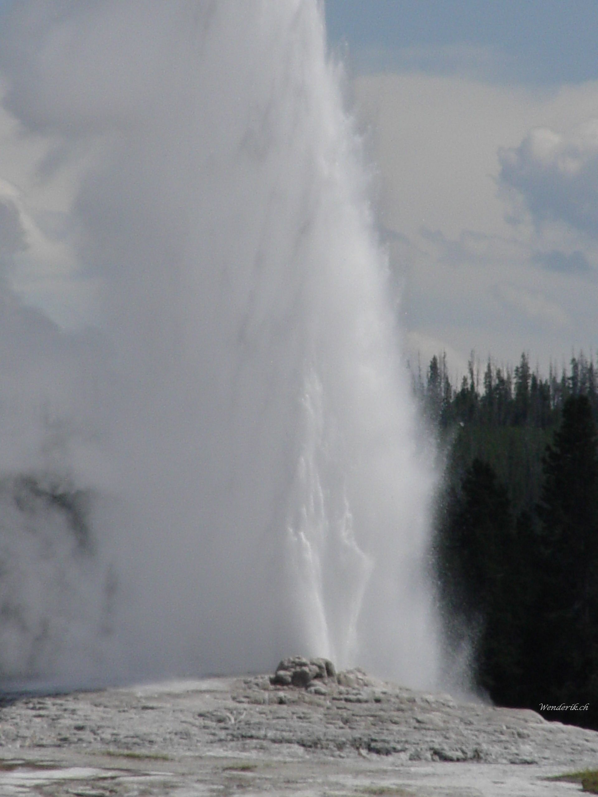 DSC00356w1.jpg
