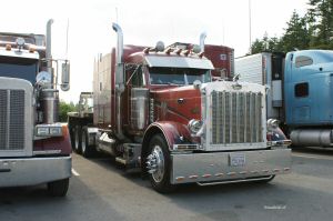 DSC07570w1.jpg