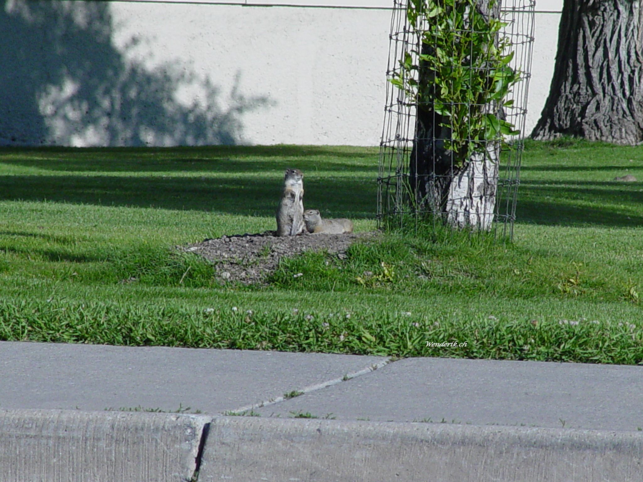 DSC07669w1.jpg