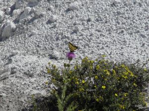 DSC07783w1.jpg