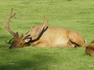 DSC08059w1.jpg
