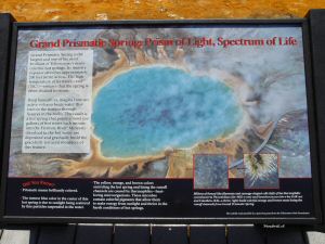 DSC09047w1.jpg