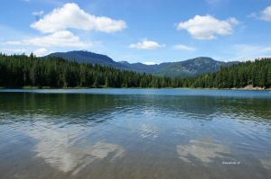 DSC09274w1.jpg