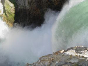 DSC09798w1.jpg