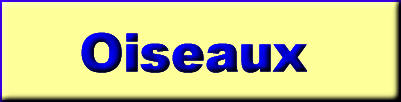 Oiseaux...
