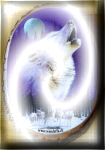 Le Loup...