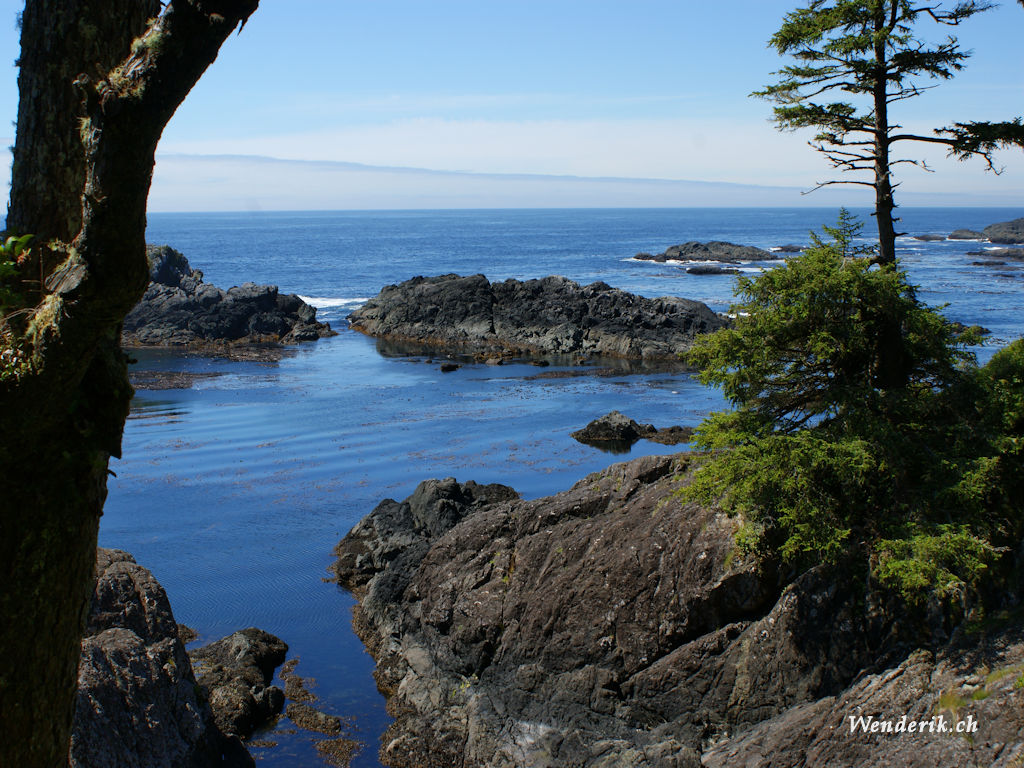 DSC08242_w1024.jpg