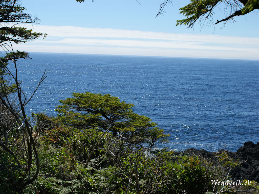 DSC08274_w1024.jpg