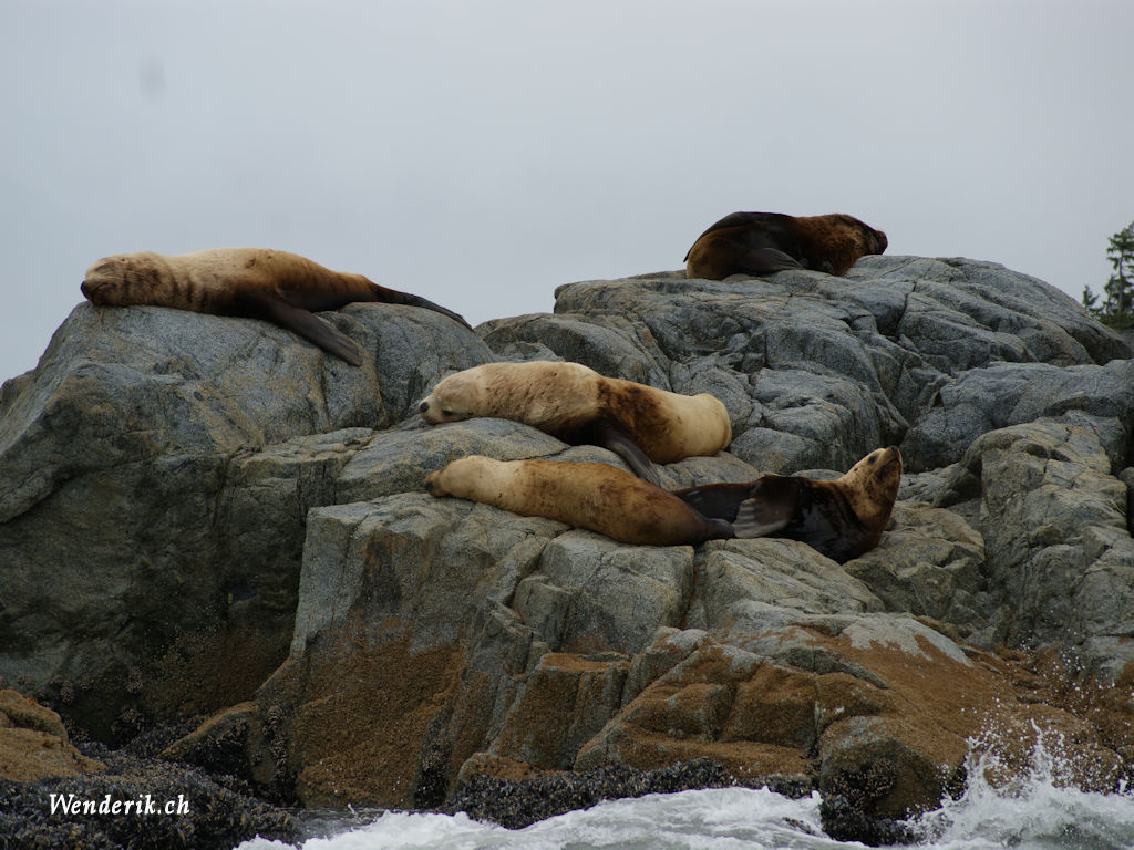 DSC08693_w1024.jpg