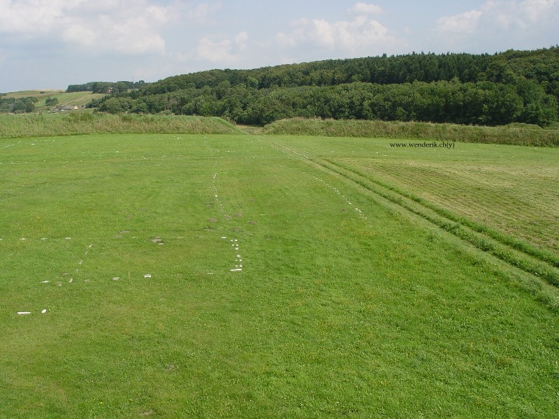 DSC01585_w800.jpg