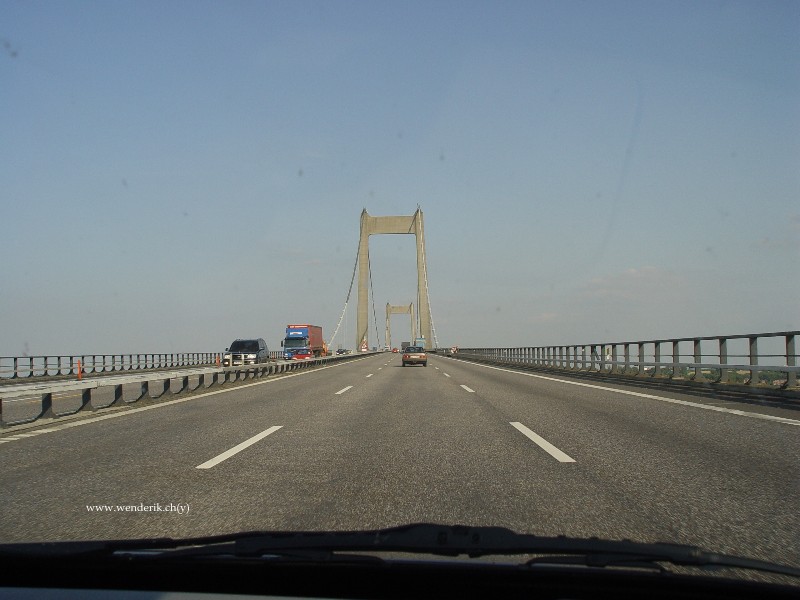 DSC01603_w800.jpg