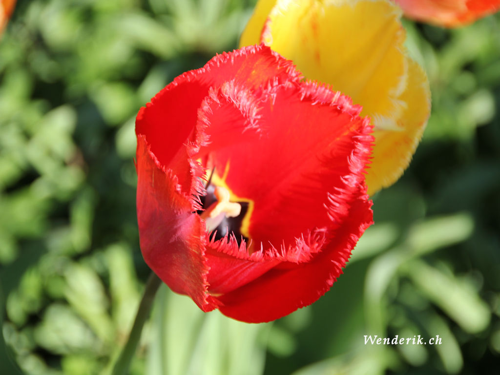 IMG_0584_w1024.jpg