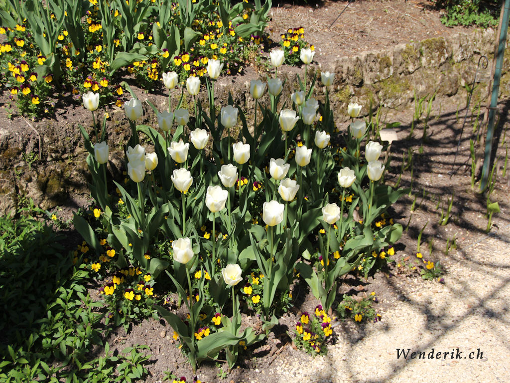 IMG_0608_w942.jpg