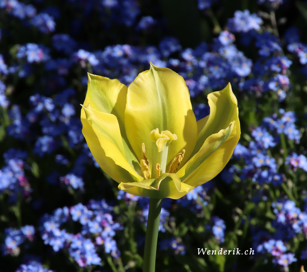 IMG_3106_w1024.jpg