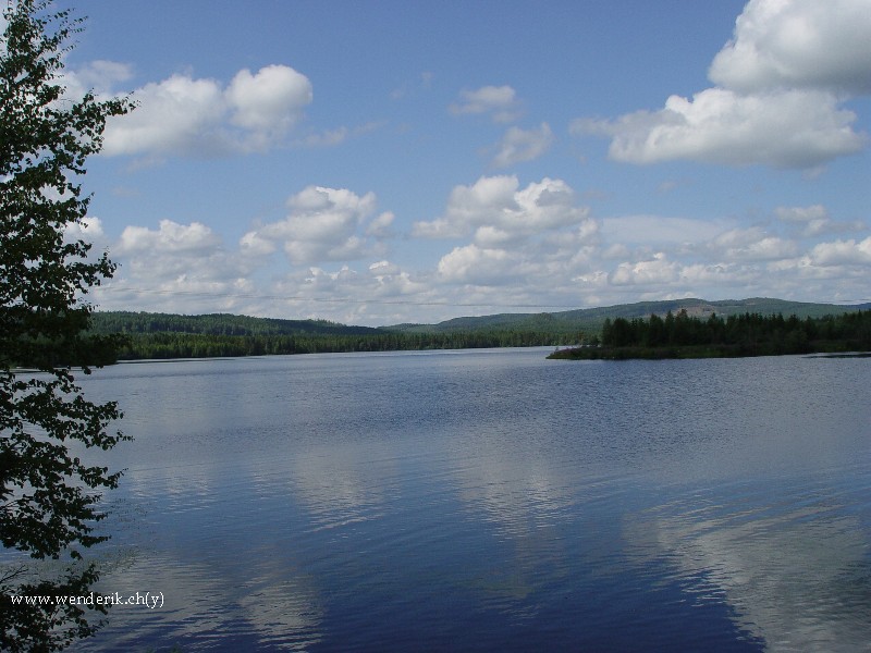 DSC01039_w800.jpg