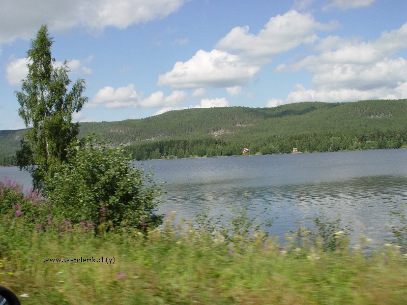 DSC01044_w800.jpg