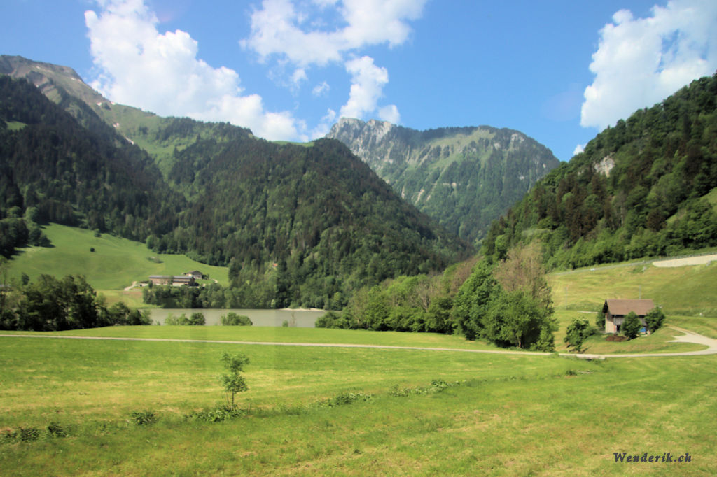 IMG_5488_w1024.jpg