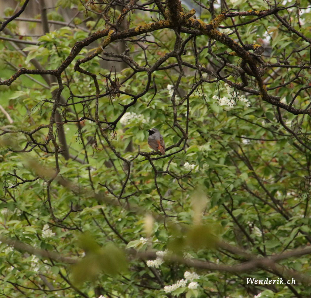 IMG_9407_w1024.jpg