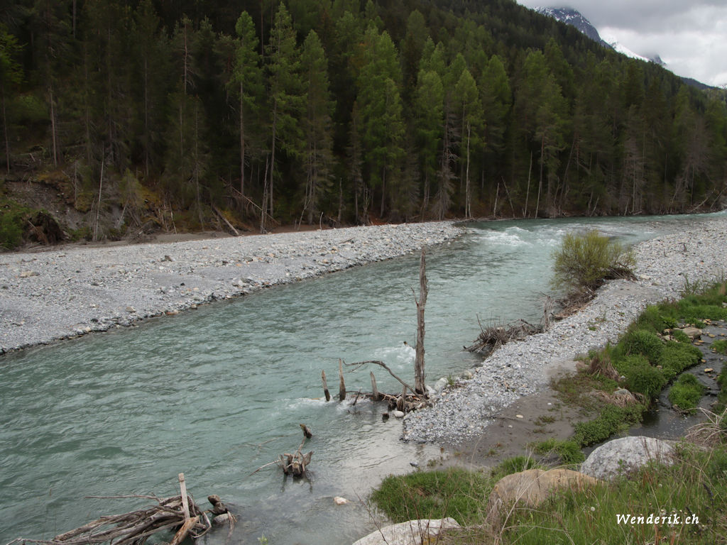 IMG_9503_w1024.jpg