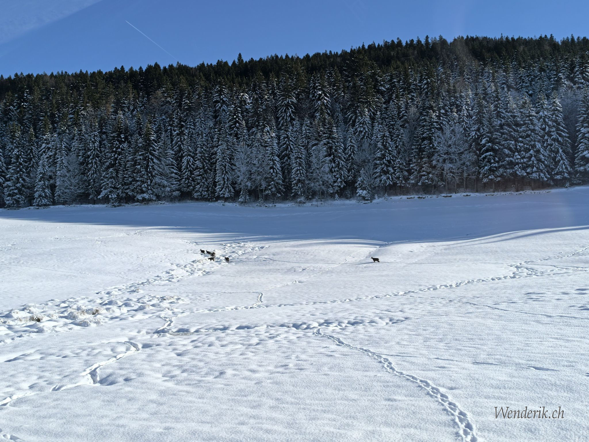 Valle de Joux 30 Dcembre 2024...