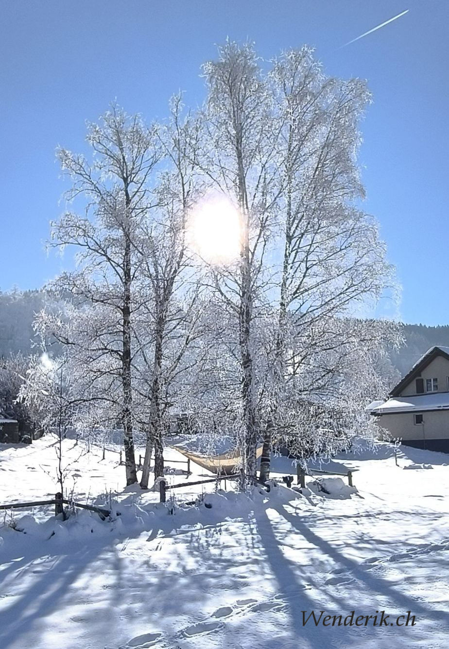 Valle de Joux 30 Dcembre 2024...
