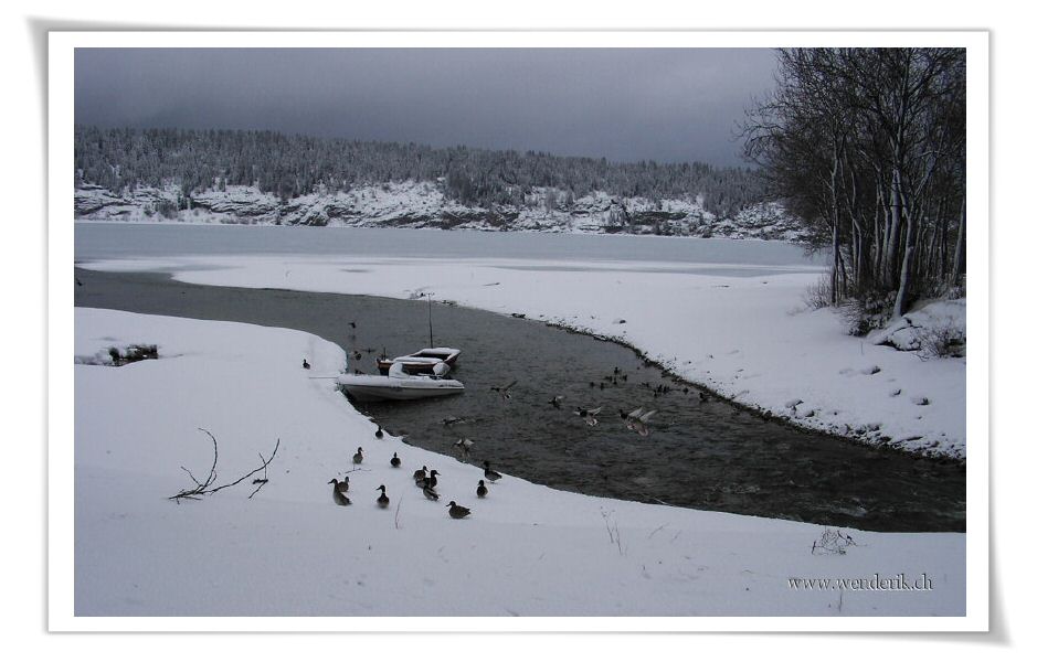 2006fevrier17_DSCI0001_(2)_w_h6001.jpg