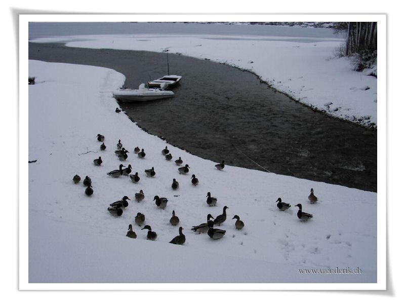 2006fevrier17_DSCI0001_(4)_w_h6001.jpg