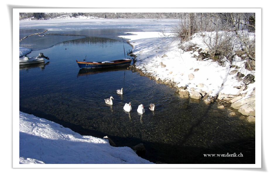 2006janvier9_DSCI0001_(38)_w_h6001.jpg