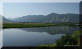 DSC03147_w_h7681.jpg